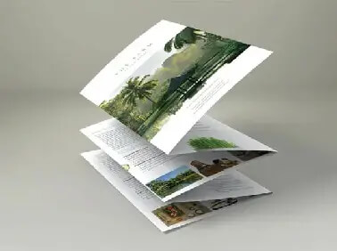 accordion fold brochure