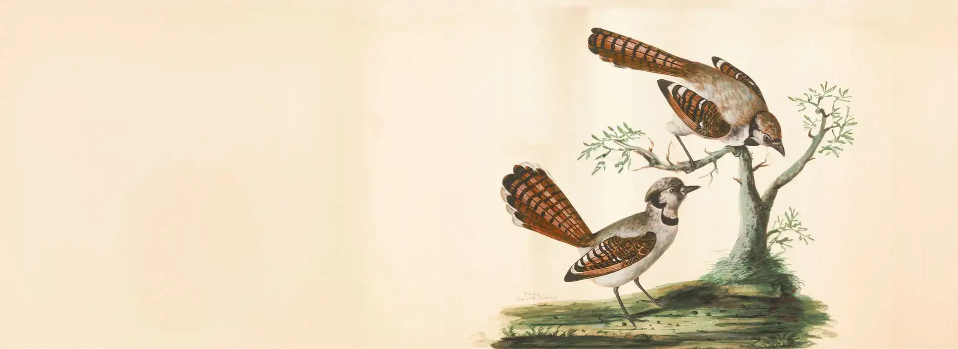 scientific illustrated image