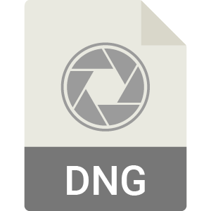 dng