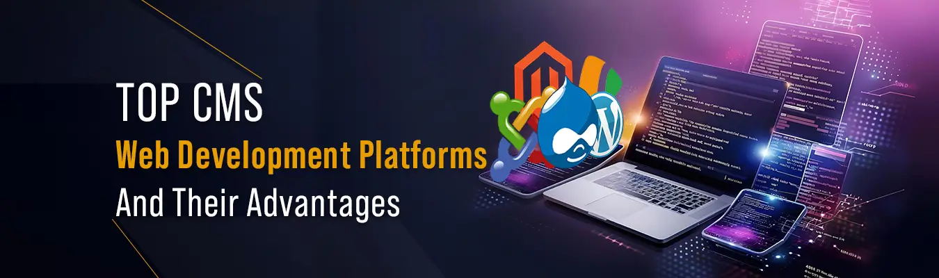 web development platforms