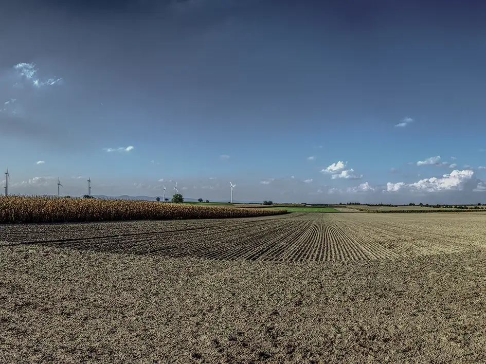 360-degree photo editing with distortion correction
