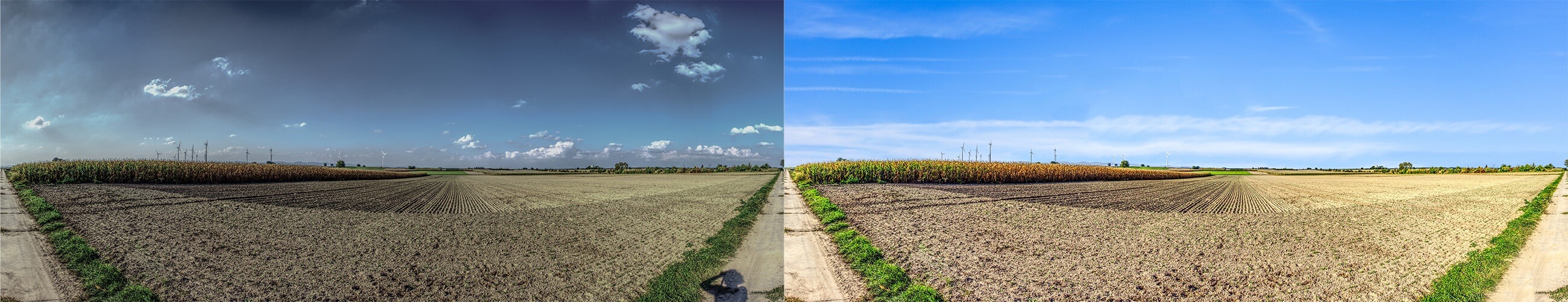 360-degree photo editing with distortion correction