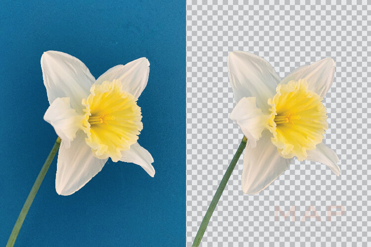 Professional image masking service