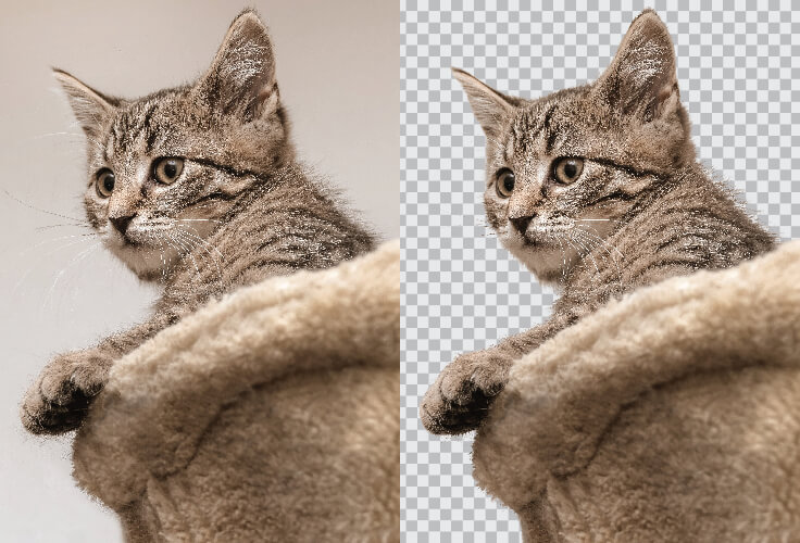 Professional background removal service