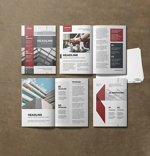 DTBook Development Services