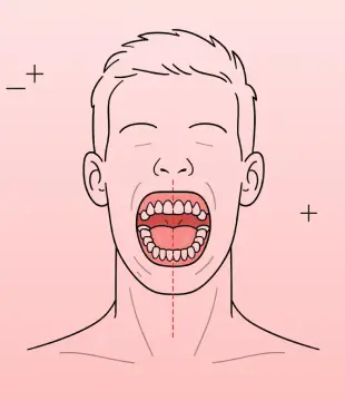 Dental Illustration Designs