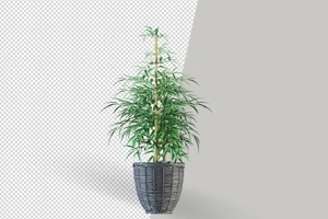 Photo Clipping