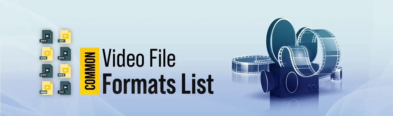 video file formats